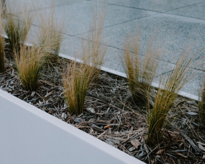 Moderne hoge plantenbakken van SEV in een stijlvolle tuinsetting, perfect voor het toevoegen van kleur en leven aan buitenruimtes.