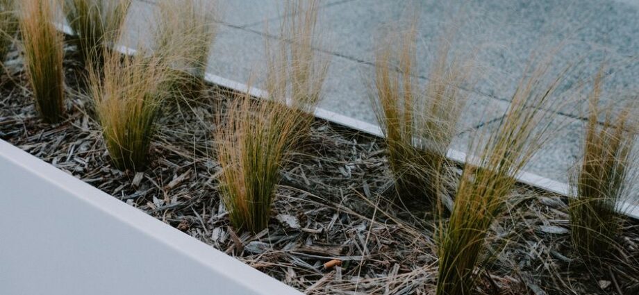 Moderne hoge plantenbakken van SEV in een stijlvolle tuinsetting, perfect voor het toevoegen van kleur en leven aan buitenruimtes.